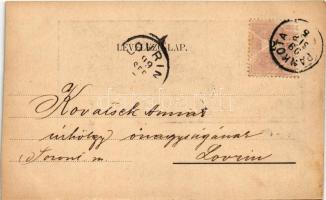 1899 (Vorläufer) Pankota, Pancota; Fő tér / main square (vágott / cut)