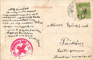 1916 Vinga, Piactér. W.L. Bp. 5433. / market + "Magyar Vöröskereszt Egylet Vingai fiókja" ...