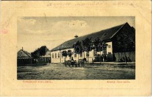 1916 Vinga, Községi elemi iskola. W.L. Bp. 5432. / elementary school + Magyar Vöröskereszt Egylet Vingai fiókja (ázott / wet damage)