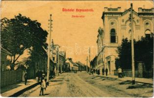 1915 Kaposvár, Zárda utca. W.L. 2552. (r)