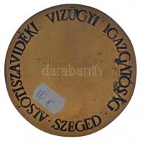 Lapis András (1942-) 1973. "Alsótiszavidéki Vízügyi Igazgatóság - Szeged" kétoldalas bronz...