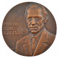 E. Lakatos Aranka (1952-) DN Prof. Dr. Rák Kálmán / SALUS AEGROTI SUPREMA LEX ESTO (A beteg biztonsága a végső törvény) kétoldalas bronz emlékplakett (88mm) T:1,1- kis ph