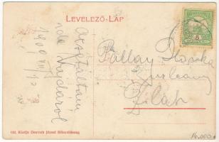 1909 Bihardiószeg, Diosig; Weisz-féle ház, Kossuth Lajos utca, Városháza, Gróf Zichy kastély, M. kir...