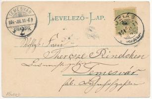 1904 Buziás-fürdő, Baile Buzias; Gyógykezelés utáni haza indulás. Humoros montázs esernyős repülő úr...