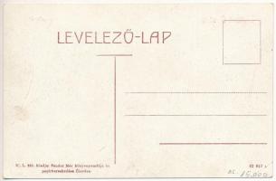 Élesd, Alesd; Kossuth tér, kút, Klein Bernáth és Jakabfi Jakab üzlete, Sándor Mór nyomdája, papírker...