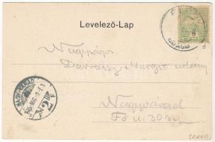 1905 Élesd, Alesd; Gróf Bethlen kastélya, városháza. Bock H. és Társa kiadása / castle, town hall. A...