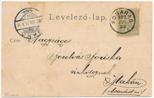 1902 Fogaras, Fagaras; Apaffy (Apafi) fejedelem kastélya a XIV. századból. Thierfeld Dávid kiadása /...