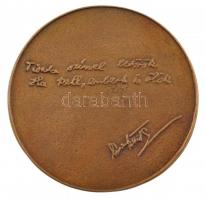 DN "József Attila / Tiszta szívvel betörök, ha kell, embert is ölök" kétoldalas bronz emlé...