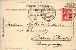 1906 Pontresina, Bovalhütte und Munt Pers / chalet, mountain house, tourists