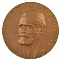 Vastagh László (1902-1972) 1929. Josephus Árkövy 1851-1922 egyoldalas bronz emlékérem kissé megviselt tokban (77mm) T:1- patina, kis karc
