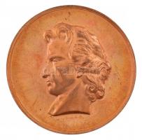 NDK 1980. "Friedrich Schiller halálának 175. évfordulója" kétoldalas bronz emlékérem tanúsítvánnyal, dísztokban. Szign.: Helmut König (42mm) T:2 ph, karc, viseltes tok GDR 1980. "The 175th Anniversary of the death of Friedrich Schiller" two-sided bronze commemorative medallion with certificate in hardcase. Sign.: Helmut König (42mm) C:XF edge error, scratch, worn case