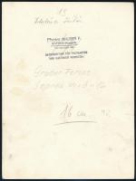 Gruber Ferenc: Novara Fr. 327 jelzésű vitorlás a Fertő-tavon. Hátoldalán pecséttel jelzett, felirato...