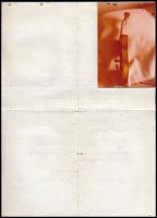 1984 Semmelweis Tibor hangszerkészítő mester, gyémántfokozatú igazságügyi szakértő szakvéleménye Ant...