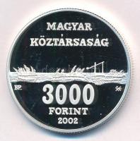 2002. 3000Ft Ag "Hortobágyi Nemzeti Park" kapszulában T:PP kis patina
Adamo EM178