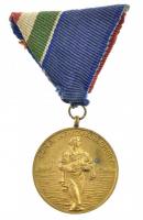 1954. 1954. évi Dunai Árvízvédelemért aranyozott Br kitüntetés mellszalagon T:1-,2 patina