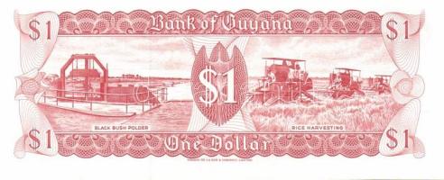 Közép- és Dél-Amerika, Karibik 18 klf db bankjegy T:I