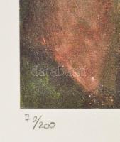 Pablo Picasso (1881-1973): A fák útja (La rue des bois). Ofszet litográfia, papír. Jelzett a litográ...