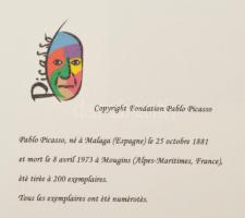 Pablo Picasso (1881-1973): A fák útja (La rue des bois). Ofszet litográfia, papír. Jelzett a litográ...