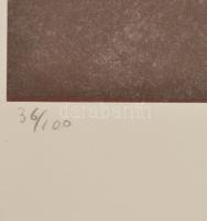 Andy Warhol (1928-1987): Marylin Monroe. Ofszet itográfia, papír. Számozott 36/100, jelzett a nyomat...