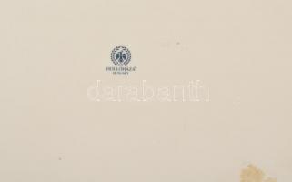 Hollóházi Jurcsák László által tervezett dekorral díszített porcelán tányér. Matricás, jelzett, hibá...