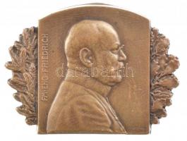 Osztrák-Magyar Monarchia 1915. "FM. EHG. FRIEDRICH (Frigyes Főherceg Tábornagy)" bronz sapkajelvény. Szign.: Marschall (32x43mm) T:1- / Austro-Hungarian Monarchy 1915. "FM. EHG. FRIEDRICH (Feldmarschall Archduke Friedrich) " bronze cap badge. Sign.: Marschall (32x43mm) C:AU