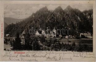 1905 Wildalpen (Steiermark), general view. Verlag Hans Zisler (EK)