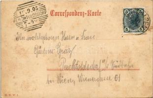 1905 Wildalpen (Steiermark), general view. Verlag Hans Zisler (EK)