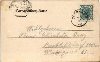 1905 Treffling (Seeboden), Treffling am Millstättersee