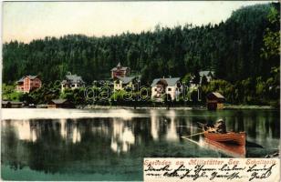 Seeboden, am Millstättersee. Schattseite / lake, villas (EK)