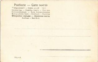 Perchtoldsdorf, Aufzug der neuen Kirchen-Glocke am 8. Februar 1905 / lifting the new church bell (EK...