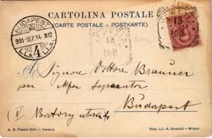 1901 Venezia, Venice; Piazza S. Marco dal Palazzo Reale / square. litho (EB)