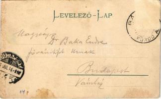 1906 Bártfafürdő, Bardejovské Kúpele, Bardiov, Bardejov; Erzsébet királyné szobor (Sissi). Eschwig E...