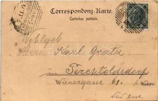 1904 Abbazia, Opatija; Hafen und Landungsplatz / port, dock (fl)