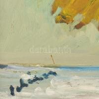 Schéner Mihály (1923-2009): Napraforgók. Olaj, farost, jelzett. Hátoldalán Debreceni Műhely Képző- é...