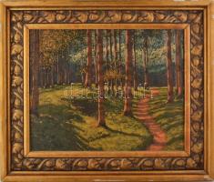 Olgyai Viktor (1870-1929): Napfényes erdő. Olaj, vászon, jelzett. Dekoratív, sérült fakeretben, 55,5×70,5 cm