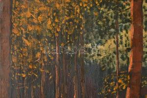 Olgyai Viktor (1870-1929): Napfényes erdő. Olaj, vászon, jelzett. Dekoratív, sérült fakeretben, 55,5...