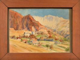 Steitz jelzéssel: Alpoki látkép. Akvarell, papír, kopott keretben, 29x39 cm