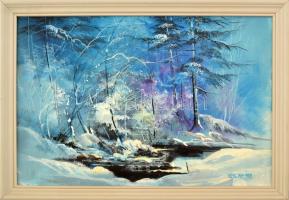 Puja Rezső (?- ): Téli táj, 1998. Olaj, vászon, jelzett, fa keretben, 34x49 cm