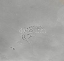 Szecessziós ón tál, jelzett, hibátlan, 23x18 cm