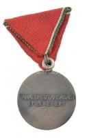 1959. "Tanácsköztársasági Emlékérem" ezüstözött bronz kitüntetés, eredeti mellszalaggal T:...