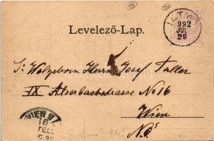 1899 (Vorläufer) Iltő, Iltyó, Ilteu; látkép, kúria, kastély. Haloska J. fényképész / general view, v...