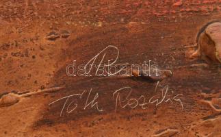 Tóth Rozália (1946-2015): Tanya. Olaj, vegyes technika, farost, jelzett, 40x80cm. Dekoratív fakeretb...