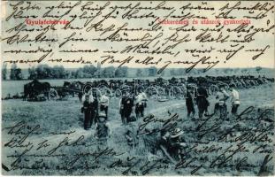 1907 Gyulafehérvár, Alba Iulia; Szekerészek és utászok gyakorlata. Weiss Bernát kiadása / K.u.K. military pioneer exercise (EK)