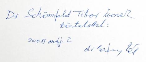 Bánszky Pál: A képzőművészet vadvirágai. 100 népművészeti és naiv szemléletű magyar alkotó. / The Wi...