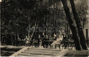 1911 Karánsebes, Caransebes; Fűszfásnyaraló, Fűzfás nyaraló, vendégek és pincérek. Naschitz cs. és kir. udvari fényképész / villa, guests and waiters (EK)