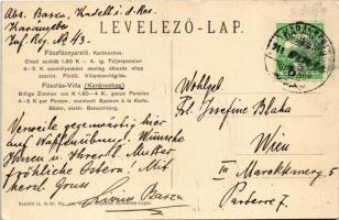 1911 Karánsebes, Caransebes; Fűszfásnyaraló, Fűzfás nyaraló, vendégek és pincérek. Naschitz cs. és k...