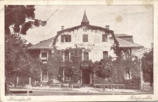 Hévízfürdő Petőfi villa (Eb)