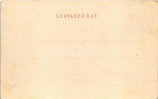 Karánsebes, Caransebes; látkép, piac, üzletek, gyógyszertár / Prospect / Ansicht, Apotheke / general...