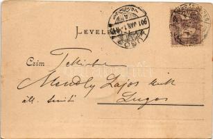 1901 Karánsebes, Caransebes; Heti piac a főúton, Eperjesy, B. Reisz üzlete / main street, market, sh...