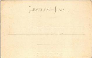 Karánsebes, Caransebes; Wekerle utca. Rosenfeld H. kiadása / Wekerlegasse / street view (EK)